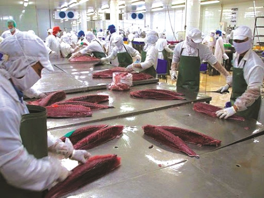 Thúc đẩy sản phẩm cá ngừ Việt Nam vào châu Âu