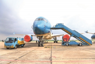 Vietnam Airlines đã sẵn sàng hoạt động trở lại