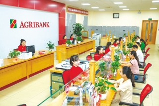 Vốn ngân hàng tạo động lực phát triển kinh tế địa phương