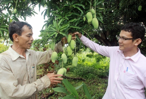 Kiên Giang kiên cường giảm nghèo