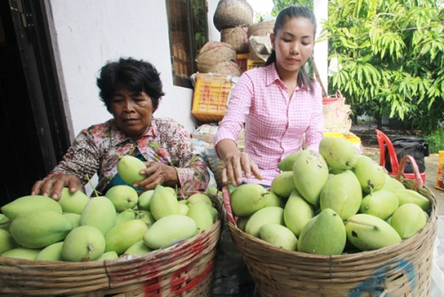 Kiên Giang kiên cường giảm nghèo