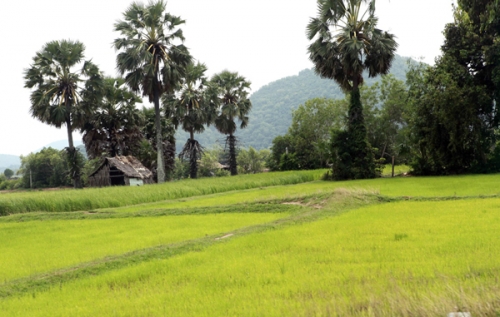 Kiên Giang kiên cường giảm nghèo