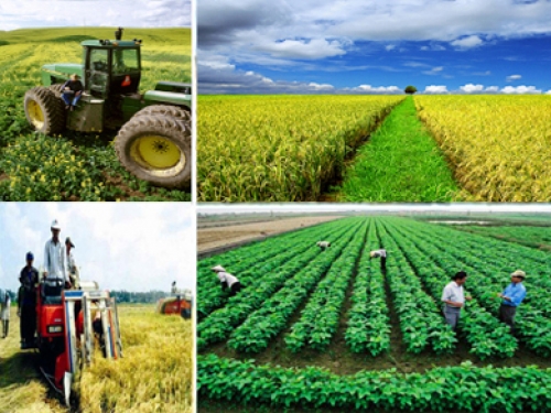 Agribank triển khai gói 50.000 tỷ đồng ưu đãi phục vụ nông nghiệp sạch
