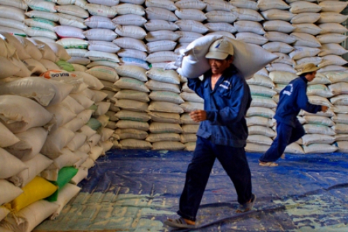 Xuất cấp gần 6.900 tấn gạo cho 3 tỉnh Nghệ An, Hà Tĩnh, Quảng Bình