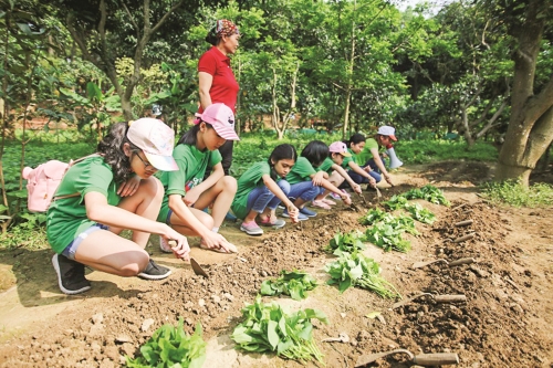 Du lịch nông nghiệp, sinh thái ở Hà Nội: Cần thêm những trải nghiệm