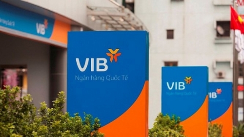 VIB thu xếp cấp tín dụng hợp vốn 780 tỷ đồng cho EVN