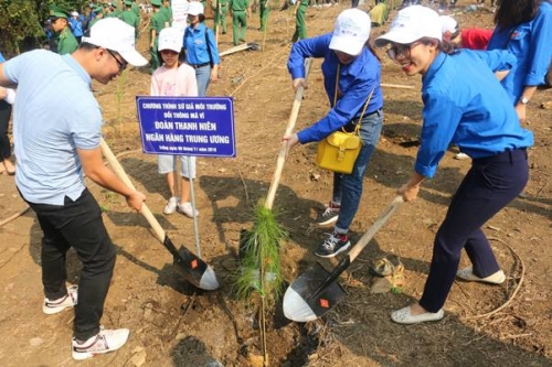 Trồng 2.000 cây thông nhân Kỷ niệm 60 năm ngày Bác Hồ phát động “Tết trồng cây”