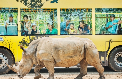 Vinpearl Safari đăng cai tổ chức hội nghị bảo tồn  và phúc trạng động vật lớn nhất Đông Nam Á