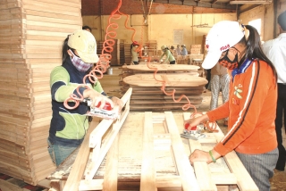 Gia Lai phát huy thế mạnh ngành chế biến gỗ
