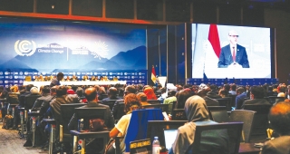 COP27: Chấm dứt nạn phá rừng