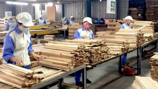 Chậm hoàn thuế, doanh nghiệp ngành gỗ lao đao