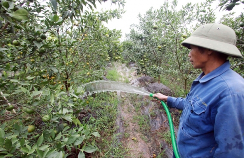 Phát triển kinh tế từ đồng vốn chính sách