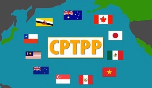 CPTPP có hiệu lực: Việt Nam có thể hưởng lợi ngay lập tức