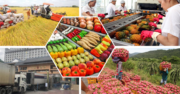 Hỗ trợ nông dân xây dựng thương hiệu, nhãn hiệu hàng hóa nông sản