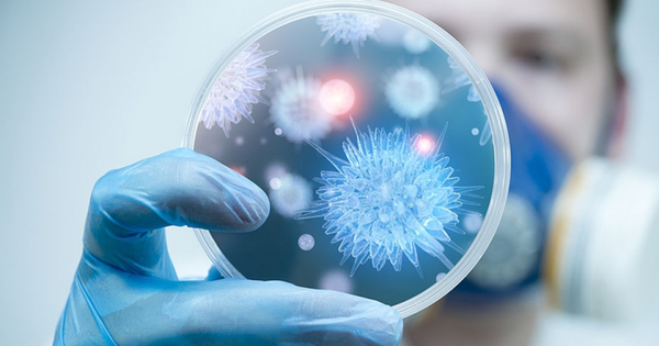 undefined Bộ Y tế khuyến cáo người dân hạn chế đến khu vực có dịch bệnh do virus Nipah