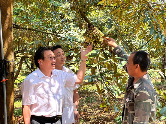 Vốn ngân hàng “nở hoa” trên Tây Nguyên