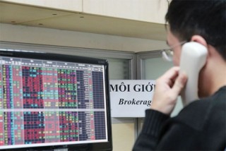 Thị phần môi giới trên HOSE quý I/2019: SSI, TCBS dẫn đầu