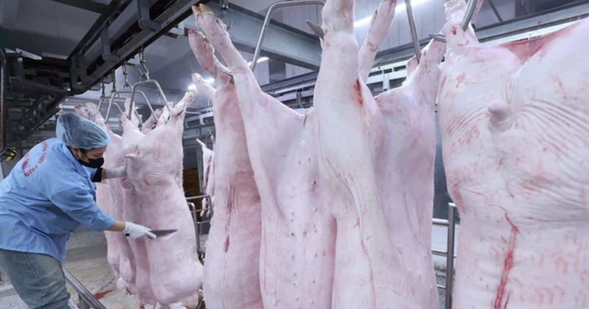 Bộ Y tế: Siết chặt kiểm tra bếp ăn tập thể, trường học ngăn "thực phẩm bẩn"