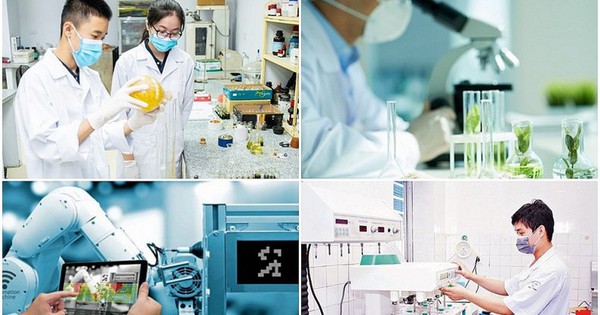 undefined Sửa đổi Quy chế hoạt động của BCĐ phát triển khoa học, công nghệ, đổi mới sáng tạo, chuyển đổi số và Đề án 06