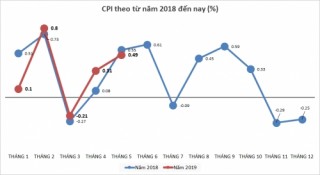 CPI tháng 5/2019 tăng 0,49% so với tháng trước