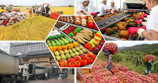 undefined Bảo đảm sản xuất, tiêu thụ, xuất khẩu nông lâm thủy sản trong bối cảnh biến động thương mại toàn cầu
