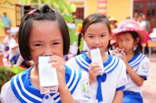 TP.HCM: Thí điểm chương trình sữa học đường tại 10 quận, huyện