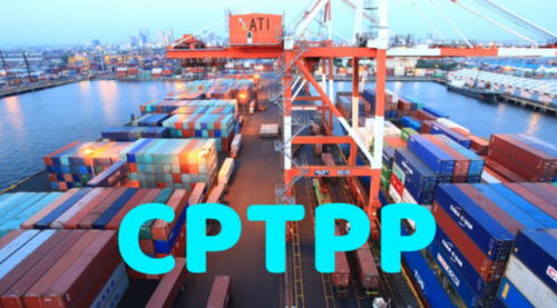 Thuế xuất khẩu ưu đãi thực hiện Hiệp định CPTPP từ 8,3-3,6%
