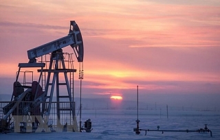 OPEC lần thứ ba hạ dự báo tăng trưởng nhu cầu dầu năm 2022