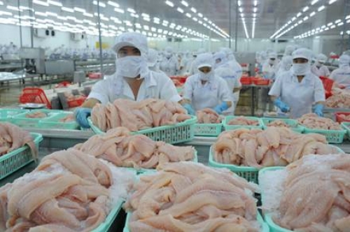Thống lĩnh thị trường toàn cầu, cá da trơn Việt Nam 'nhòm ngó' cơ hội từ EU, Trung Quốc