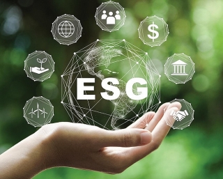 Hành trình từ tham vọng đến hành động ESG của doanh nghiệp