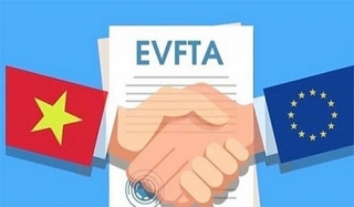 Doanh nghiệp Việt tận dụng khá hiệu quả EVFTA