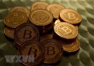 Khoảng 75% các nhà đầu tư tiền kỹ thuật số bitcoin bị thua lỗ