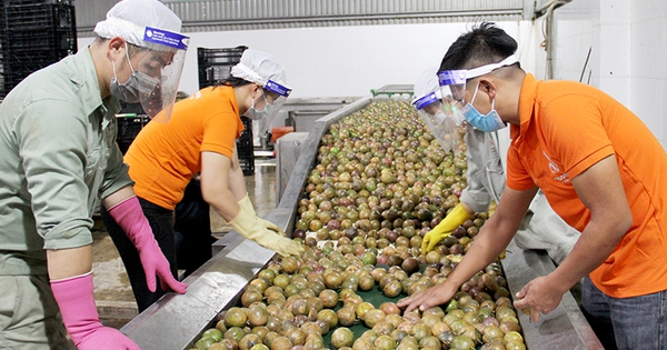 Bộ Công Thương khuyến cáo doanh nghiệp cập nhật quy định mới của Trung Quốc về xuất khẩu thực phẩm