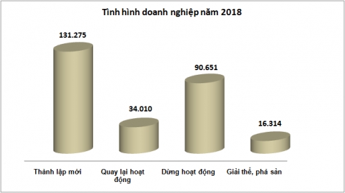 Đăng ký doanh nghiệp 2018: Tăng trưởng cao mà sao vẫn khó