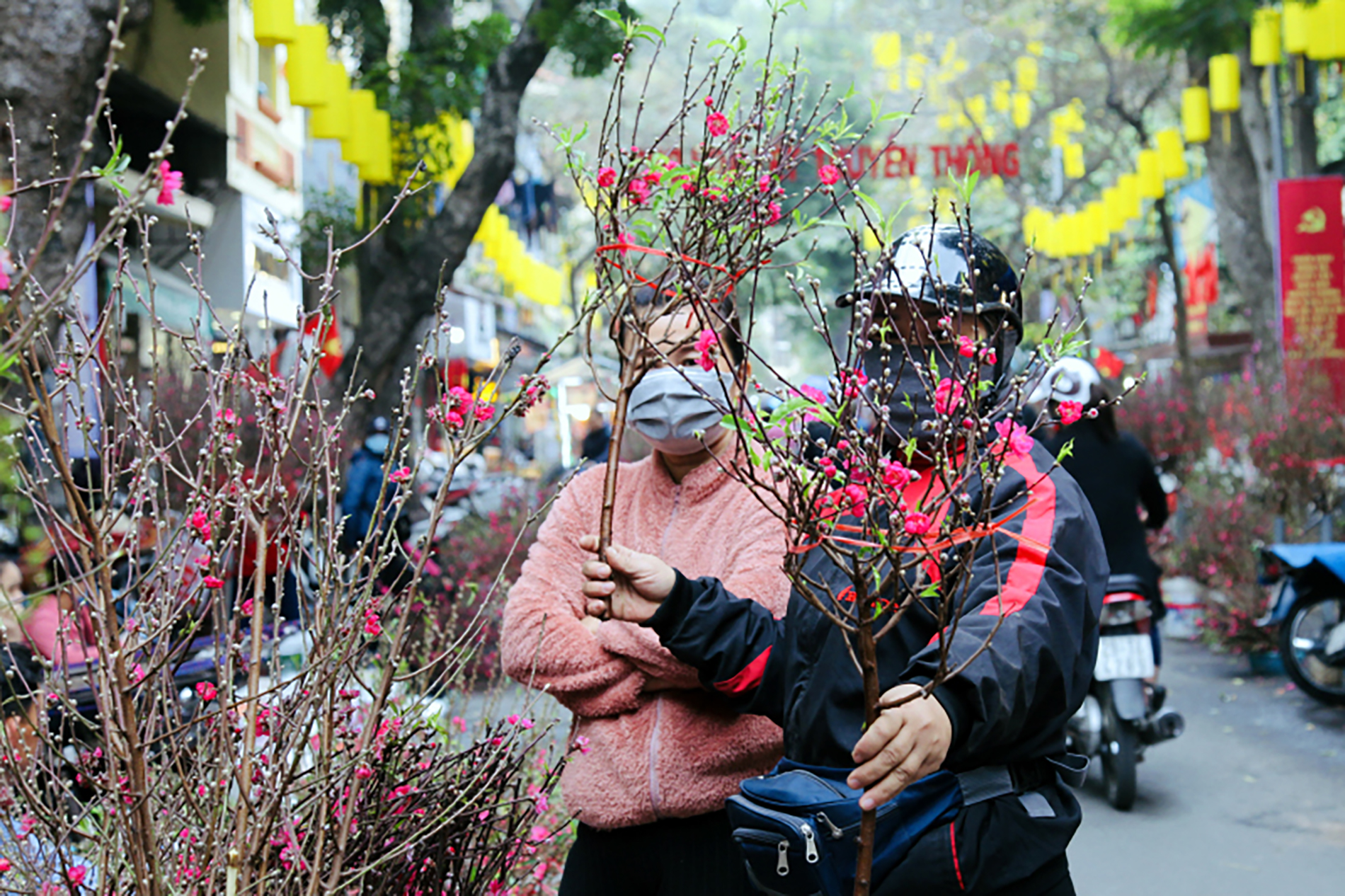 Hà Nội sẽ tổ chức 91 điểm chợ hoa xuân
