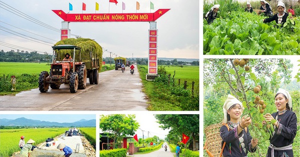 Bộ tiêu chí quốc gia về nông thôn mới giai đoạn 2026 - 2030