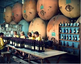 Nga-Gruzia: Tháo gỡ “cuộc chiến về rượu vang”