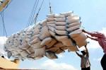 ADB: Các nước ASEAN có thể ngăn chặn giá gạo toàn cầu tăng