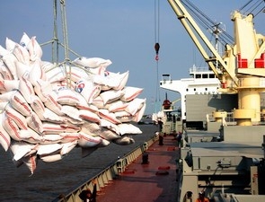 Đến 29/8, mới xuất được gần 4,6 triệu tấn gạo