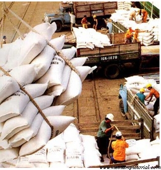 Đã xuất được hơn 5,4 triệu tấn gạo, trị giá gần 2,33 tỷ USD