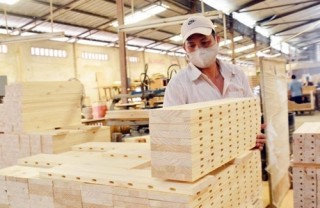 Ngành gỗ xuất khẩu: Doanh nghiệp nội vẫn chịu lép vế