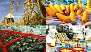 Ngành nông nghiệp xuất siêu 3 tỷ USD trong quý I
