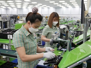 Việt Nam cần  thu hút FDI  hướng mạnh vào tăng trưởng xanh, chuyển đổi số