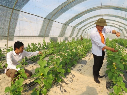 Thúc đẩy hợp tác nông nghiệp Việt Nam – Nhật Bản