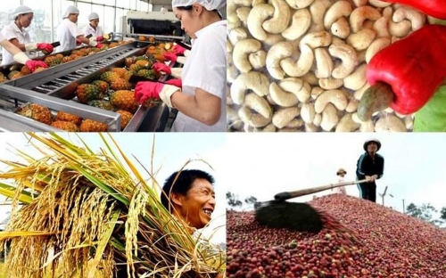 Trung Quốc vẫn là thị trường xuất khẩu lớn nhất của nông sản Việt
