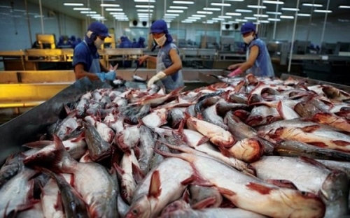 Mỹ công nhận hệ thống an toàn thực phẩm của cá da trơn Việt Nam