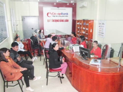 NHNN Chi nhánh Phú Thọ: Tăng chất cho hoạt động tín dụng hợp tác