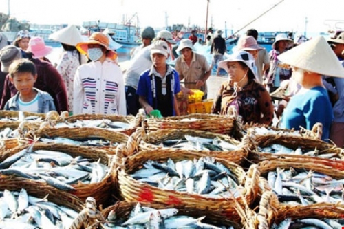Rà soát nhu cầu cho vay, xử lý nợ bị ảnh hưởng do sự cố môi trường biển tại các tỉnh miền Trung