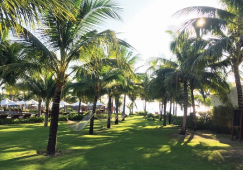 Cam Ranh Riviera Beach Resort & Spa: Thiên đường nơi hạ giới