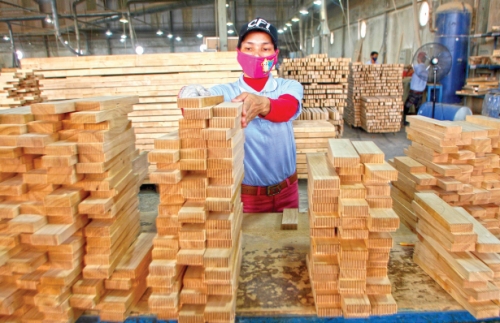 Doanh nghiệp ngành gỗ nhiều thuận lợi